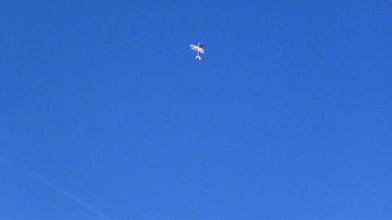 herbstfliegen42