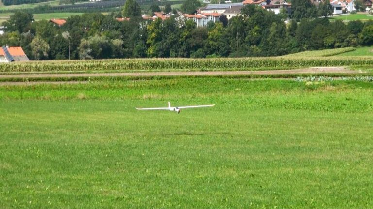 herbstfliegen56